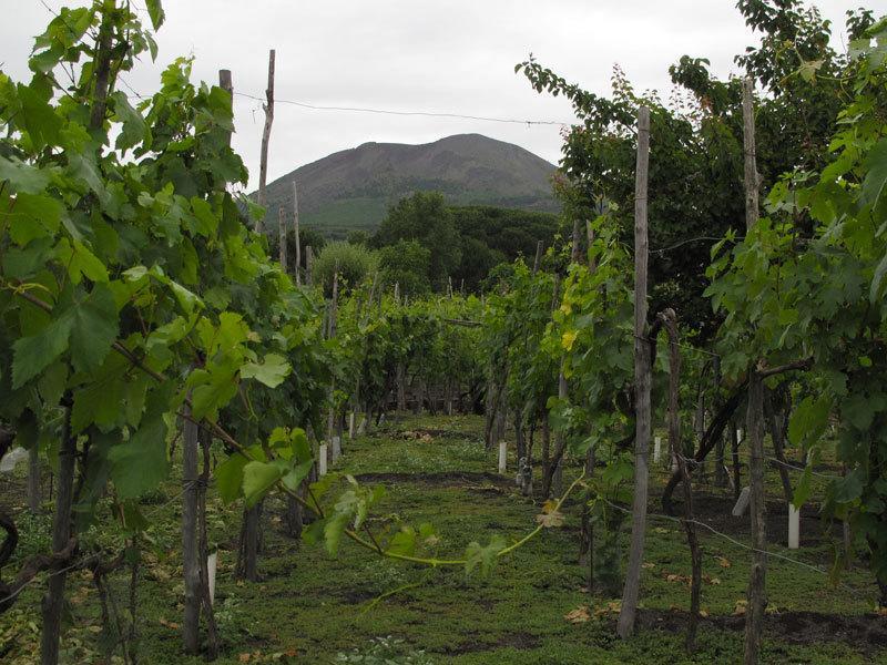 Villa Vesuvio Trecase Kültér fotó
